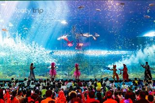 Tour phú quốc 3n2đ vinwonders cáp treo: đi gọn đảo ngọc 3 ngày