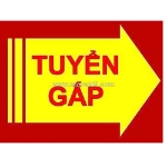 Tuyển nữ chuyên viên hồ sơ ngành hoá mỹ phẩm