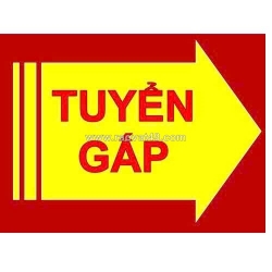 Tuyển nữ chuyên viên hồ sơ ngành hoá mỹ phẩm