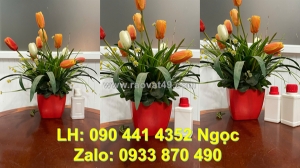 Vỏ chai nhựa 1 lít, bình đựng thủy tinh 500ml, chai lọ 250ml đựng hóa chất, chai thủy tinh nhỏ 50ml