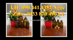 Vỏ chai nhựa 1 lít có vòi nhấn, chai thủy tinh 500ml nắp garenti, chai nhựa 250ml nắp thoát khí
