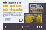 Xưởng băng dính tại hà nội chất lượng giá rẻ miễn phí giao hàng