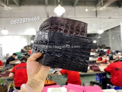 📦 tìm nguồn sỉ cá sấu cho cửa hàng đang mở rộng kinh doanh