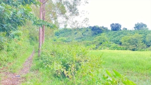 2,6 sào hẻm ql28b - ninh gia, lâm đồng - nghỉ dưỡng - làm vườn ok nha