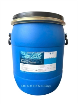 Bacillus clausii, men vi sinh đường ruột, cho tôm cá