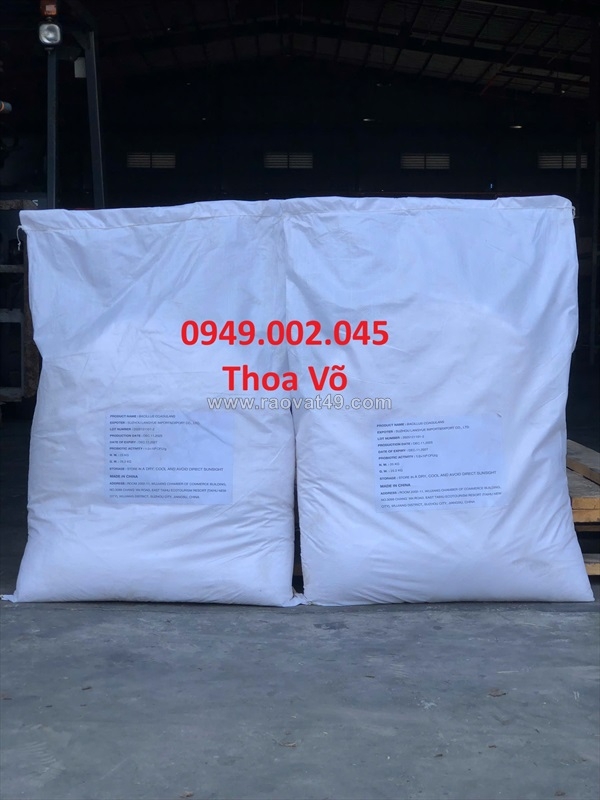 ~/Img/2026/8/bacillus-coagulans-10-cfug-probiotic-duong-ruot-ho-tro-giam-tieu-chay-phan-trang-01.jpg