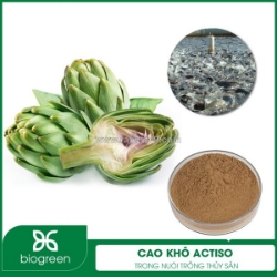 Bán cao khô actiso kháng viêm, bổ gan cho tôm cá