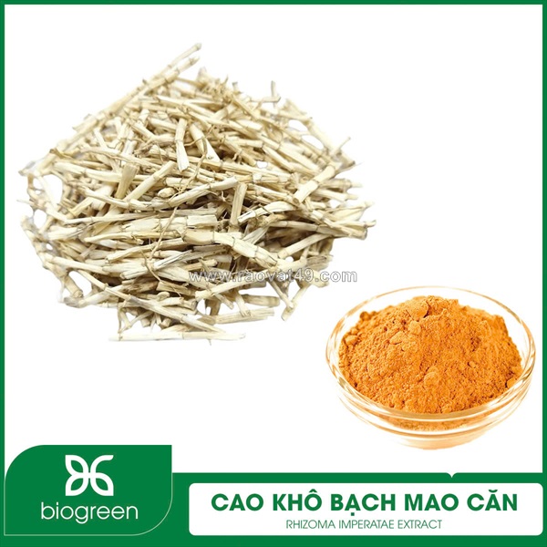 Bán cao khô bạch mao căn - vị thuốc quý trong đông y