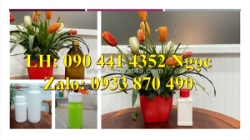 Bán chai thủy tinh 0.5 lít đựng hóa chất giá tại xưởng, chai thủy tinh 100ml, lọ thủy tinh 50ml đựng mẫu