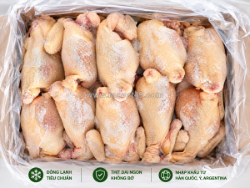 Bán gà nguyên con nhập khẩu – nguồn hàng ổn định