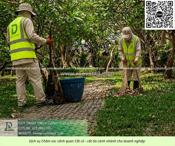 ~/Img/2026/8/bao-gia-cat-co-cham-soc-cay-xanh-nha-xuong-dong-nai-01.jpg
