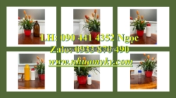 Bình thủy tinh 1 lít đựng hóa chất loãng, chai thủy tinh 0.5 lít đựng màu nước xả vải, màu nước giặt