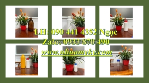 Bình thủy tinh 1 lít đựng hóa chất loãng, chai thủy tinh 0.5 lít đựng màu nước xả vải, màu nước giặt