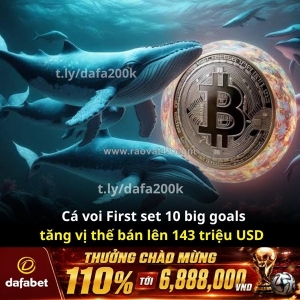 Cá voi @jason60704294 tiếp tục “đặt cược lớn” vào btc & eth!