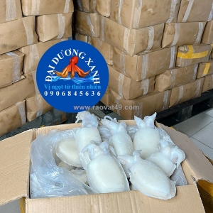Cách chọn mực nang ngon khi mua hàng đông lạnh