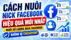Cách nuôi nick facebook hiệu quả mới nhất - nuôi nick facebook không bị checkpoint