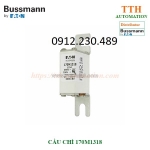 Cầu chì bussmann 170m13 có 2 cờ hiển thị tình trạng cầu chì(dual indication)