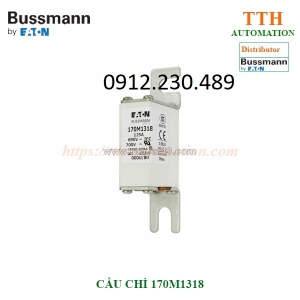 Cầu chì bussmann 170m13 có 2 cờ hiển thị tình trạng cầu chì(dual indication)
