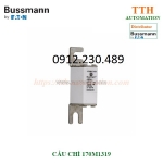Cầu chì bussmann 170m1319 dual indication