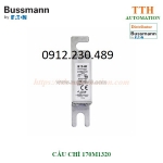 Cầu chì bussmann 170m1320 size din 43