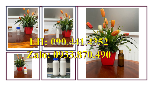 Chai nhựa 250ml đựng nước rửa tay, chai nhựa 100ml xịt phun sương nước lau kính, lau bếp, lau tủ