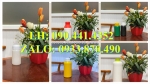 Chai nhựa 500ml đựng thuốc nhuộm tóc, chai nhựa 250ml đựng hương liệu, lọ 50ml chiết mẫu nước xả