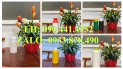 Chai nhựa 500ml đựng thuốc nhuộm tóc, chai nhựa 250ml đựng hương liệu, lọ 50ml chiết mẫu nước xả