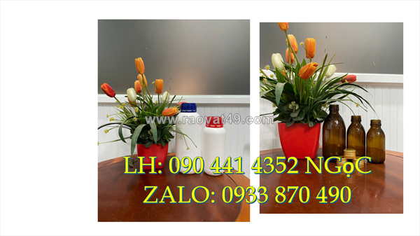 Chai nhựa 500ml vòi nhấn, vỏ chai nhựa 250ml đựng nước rửa chén, chai nhựa 100ml vòi nhấn
