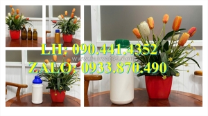 Chai thủy tinh chịu nhiệt 500ml, vỏ chai thủy tinh 250ml đựng hóa chất có gas, chai thủy tinh 100ml nâu