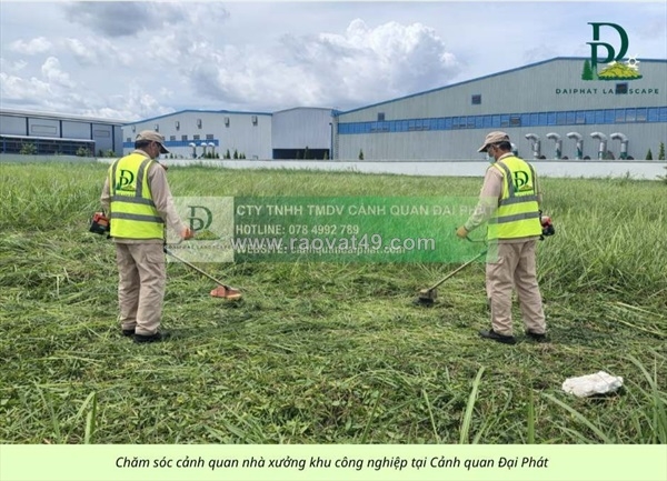 ~/Img/2026/8/cham-soc-cay-xanh-cat-co-kcn-an-phuoc-dong-nai-02.jpg