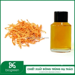 Chiết xuất đông trùng hạ thảo - nguyên liệu mỹ phẩm thiên nhiên