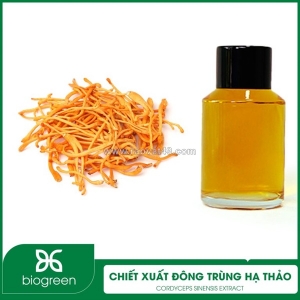 Chiết xuất đông trùng hạ thảo - nguyên liệu mỹ phẩm thiên nhiên