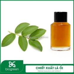 Chiết xuất lá ổi - nguyên liệu mỹ phẩm thiên nhiên