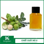 Chiết xuất mù u - nguyên liệu mỹ phẩm thiên nhiên