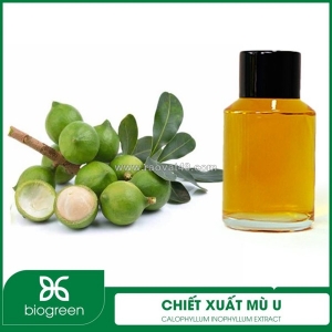 Chiết xuất mù u - nguyên liệu mỹ phẩm thiên nhiên
