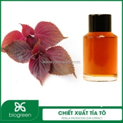 Chiết xuất tía tô - nguyên liệu mỹ phẩm thiên nhiên