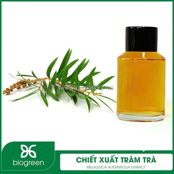 ~/Img/2026/8/chiet-xuat-tram-tra-nguyen-lieu-my-pham-thien-nhien-01.jpg