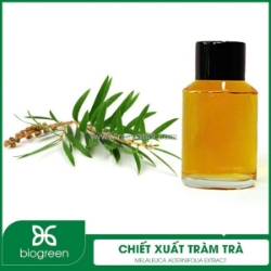 Chiết xuất tràm trà nguyên liệu mỹ phẩm thiên nhiên