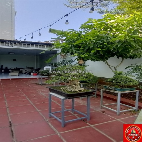 ~/Img/2026/8/co-lo-dat-rat-nhieu-tam-huyet-nhung-vi-doi-ke-hoach-nen-van-phai-ban-duong-gan-16m-160m-chi-02.jpg