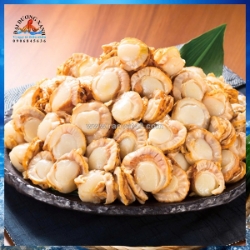 Cồi sò điệp hấp đông lạnh ngon ngọt