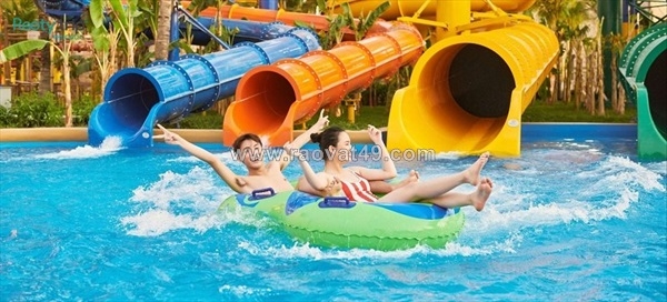 ~/Img/2026/8/combo-vinwonders-safari-phu-quoc-2026-gia-ve-kinh-nghiem-chon-combo-02.jpg