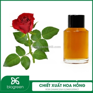 Cung cấp chiết xuất hoa hồng - nguyên liệu mỹ phẩm thiên nhiên