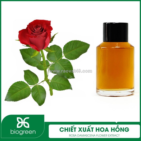 Cung cấp chiết xuất hoa hồng - nguyên liệu mỹ phẩm thiên nhiên