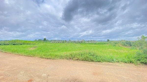 ~/Img/2026/8/dat-hem-gan-trung-tam-tan-hoi-lam-dong-02.jpg