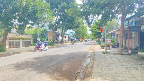 ~/Img/2026/8/dat-mat-tien-thong-nhat-gan-tram-y-te-phu-hoi-duc-trong-lam-dong-02.jpg