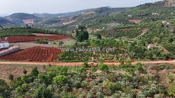~/Img/2026/8/dat-nghi-duong-view-cuc-chill-hem-ba-dinh-nam-ban-lam-ha-lam-dong-02.jpg