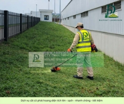 Dịch vụ cắt cỏ – chăm sóc cây xanh kcn amata biên hòa đồng nai