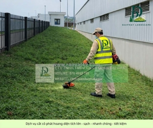 Dịch vụ cắt cỏ – chăm sóc cây xanh kcn amata biên hòa đồng nai