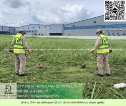 Dịch vụ cắt cỏ – chăm sóc cây xanh kcn lộc an bình sơn đồng nai