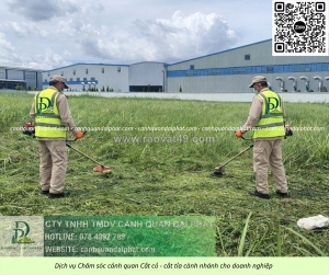 Dịch vụ cắt cỏ – chăm sóc cây xanh kcn lộc an bình sơn đồng nai